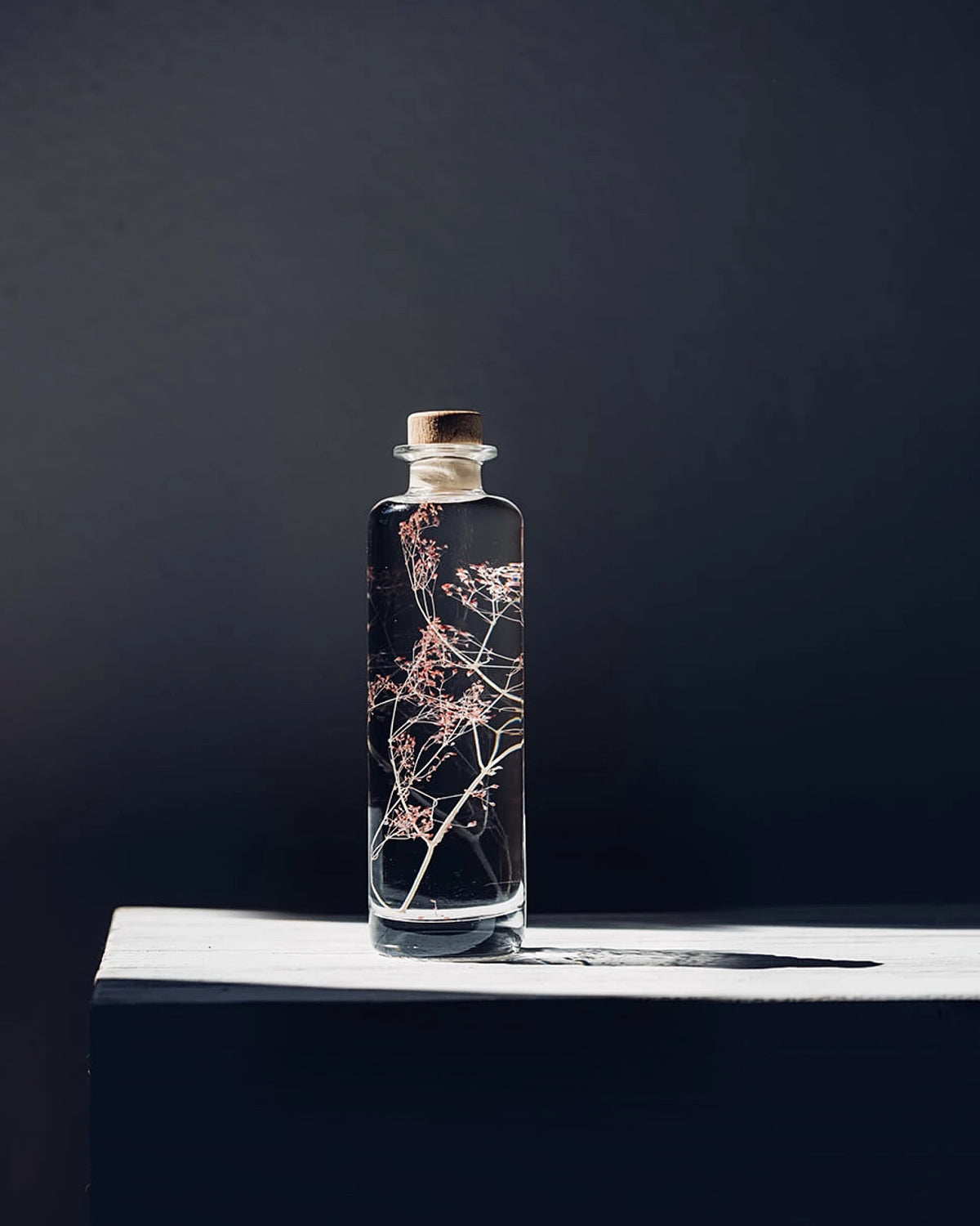 wabi sabi herbarium giapponese artigianali con fiori conservati in bottiglia di vetro farmaceutico e tappo in legno naturale - fiori di gypsophila rosa - dimensione grande