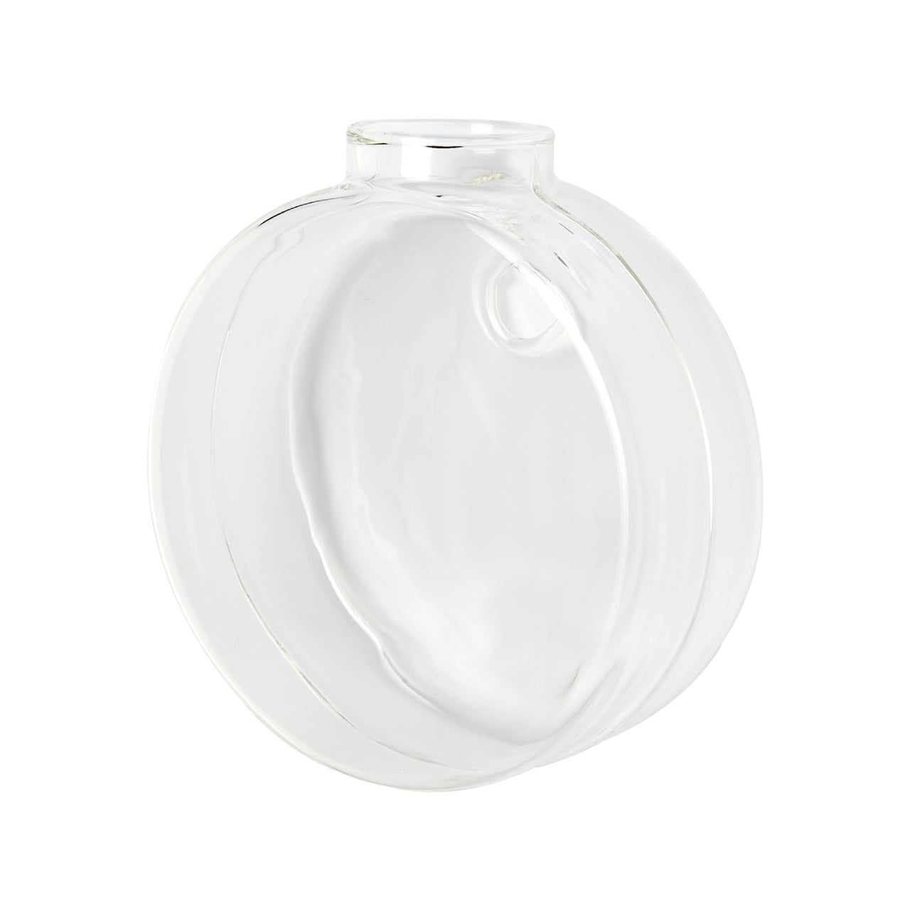 Aqua: Vaso da Parete Idroponica con Talea o Fiori Secchi