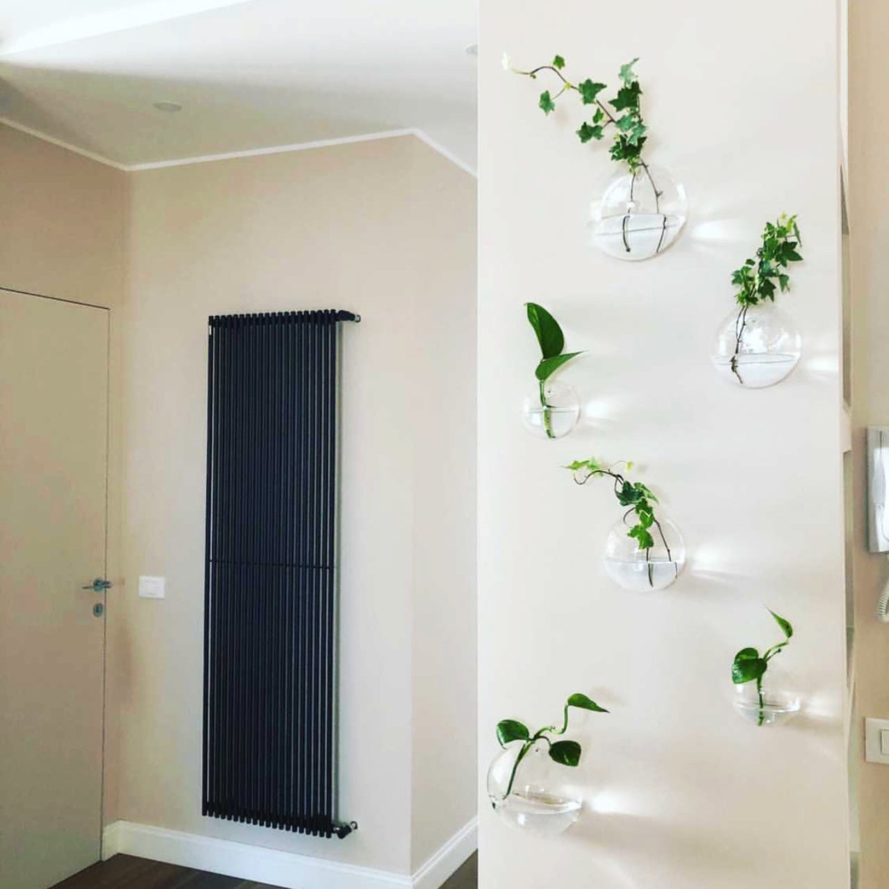 Aqua: Vaso da Parete Idroponica con Talea o Fiori Secchi