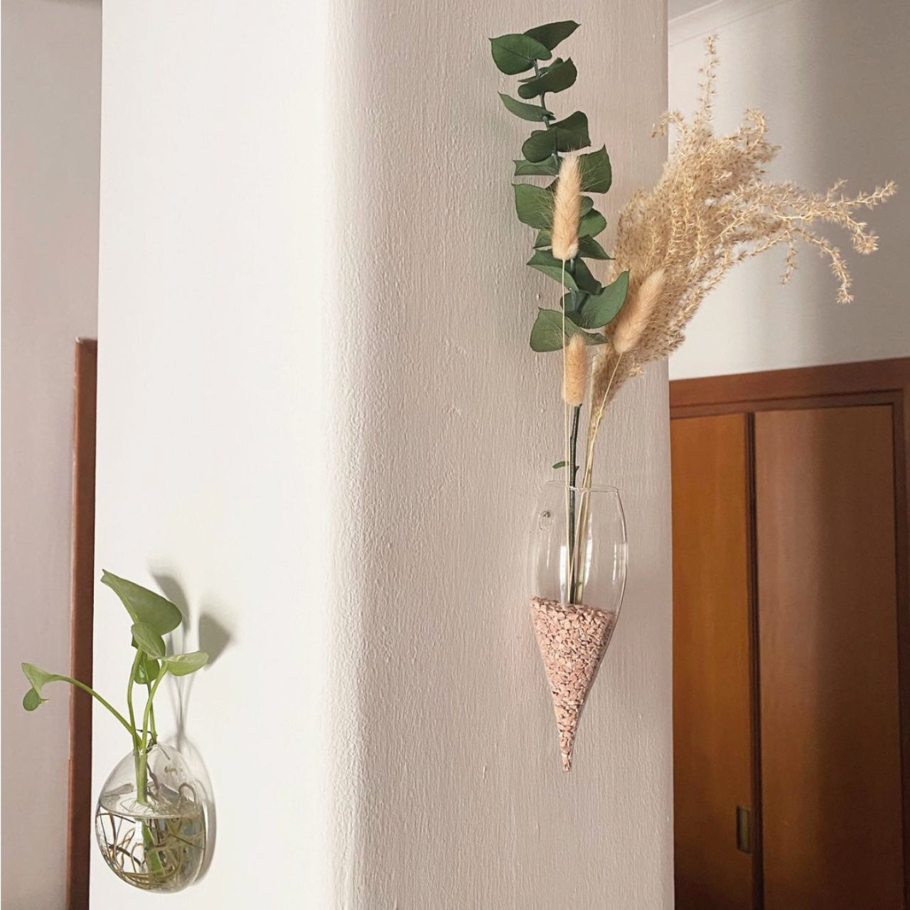 Aqua: Vaso da Parete Idroponica con Talea o Fiori Secchi