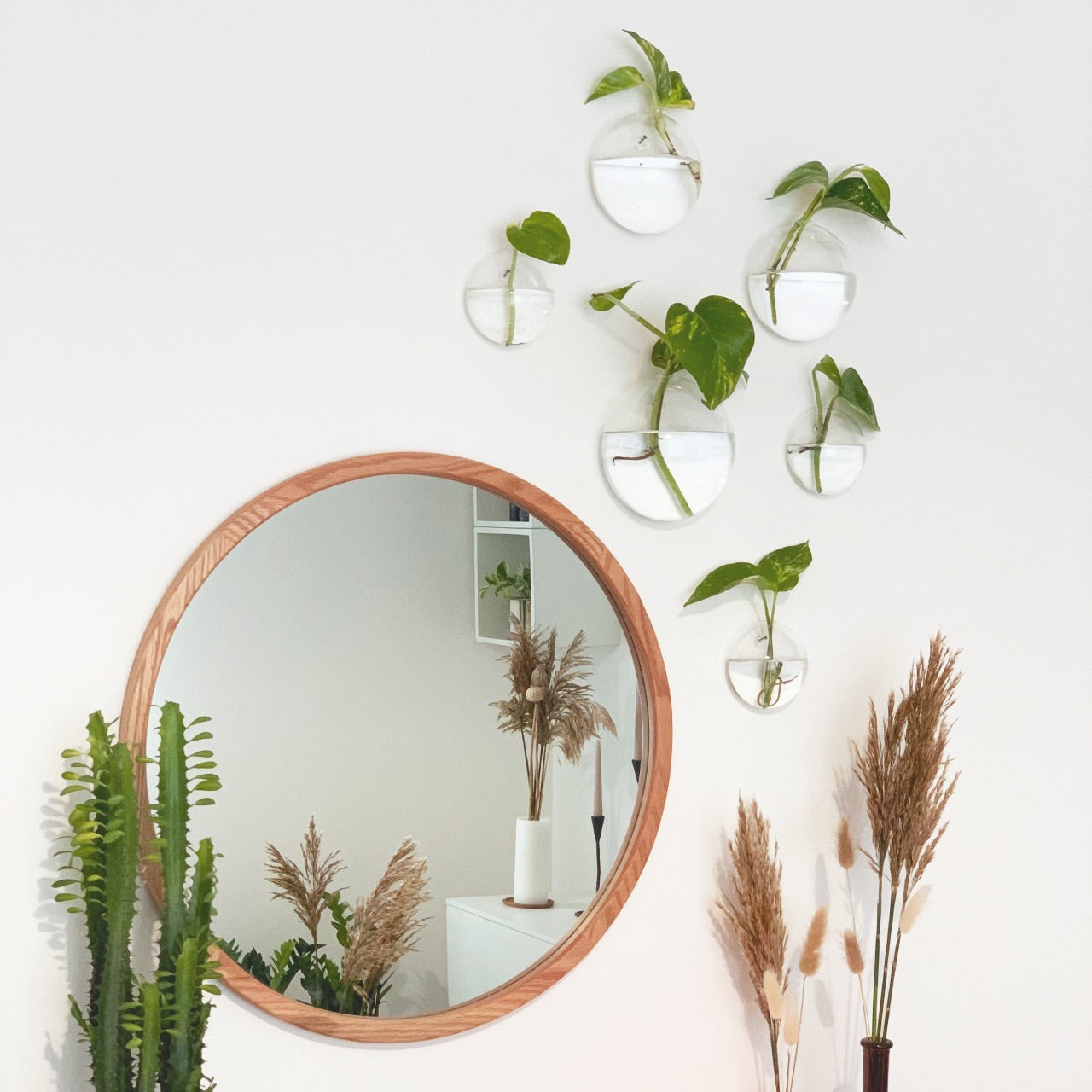 Aqua: Vaso da Parete Idroponica con Talea o Fiori Secchi