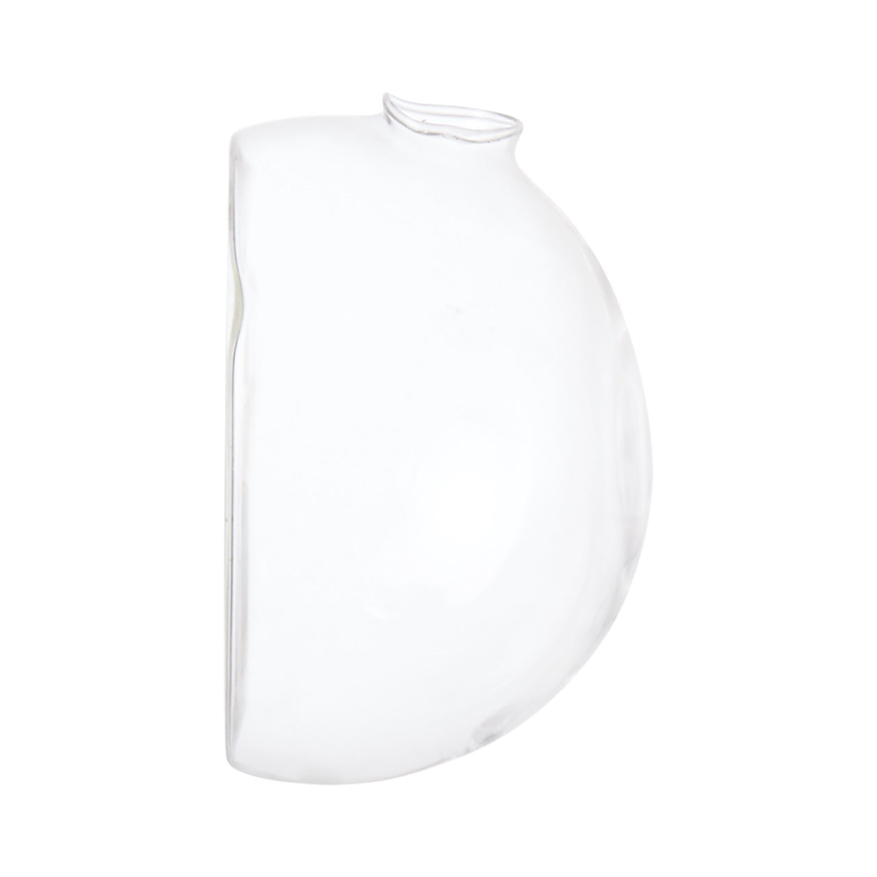 Aqua: Vaso da Parete Idroponica con Talea o Fiori Secchi