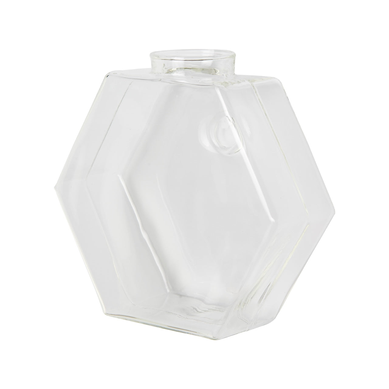 Aqua: Vaso da Parete Idroponica con Talea o Fiori Secchi