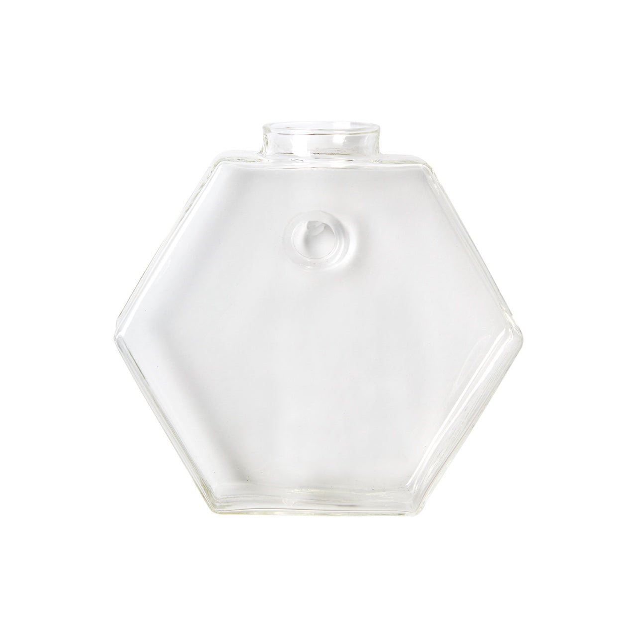 Aqua: Vaso da Parete Idroponica con Talea o Fiori Secchi