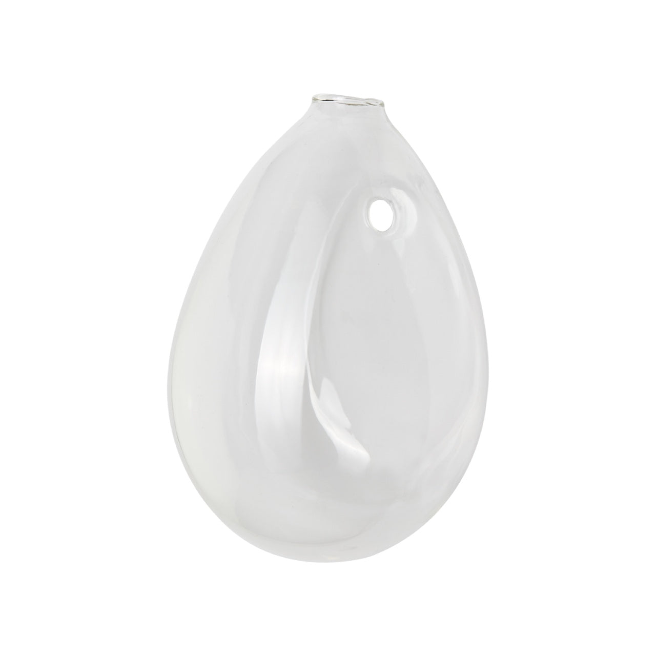 Aqua: Vaso da Parete Idroponica con Talea o Fiori Secchi