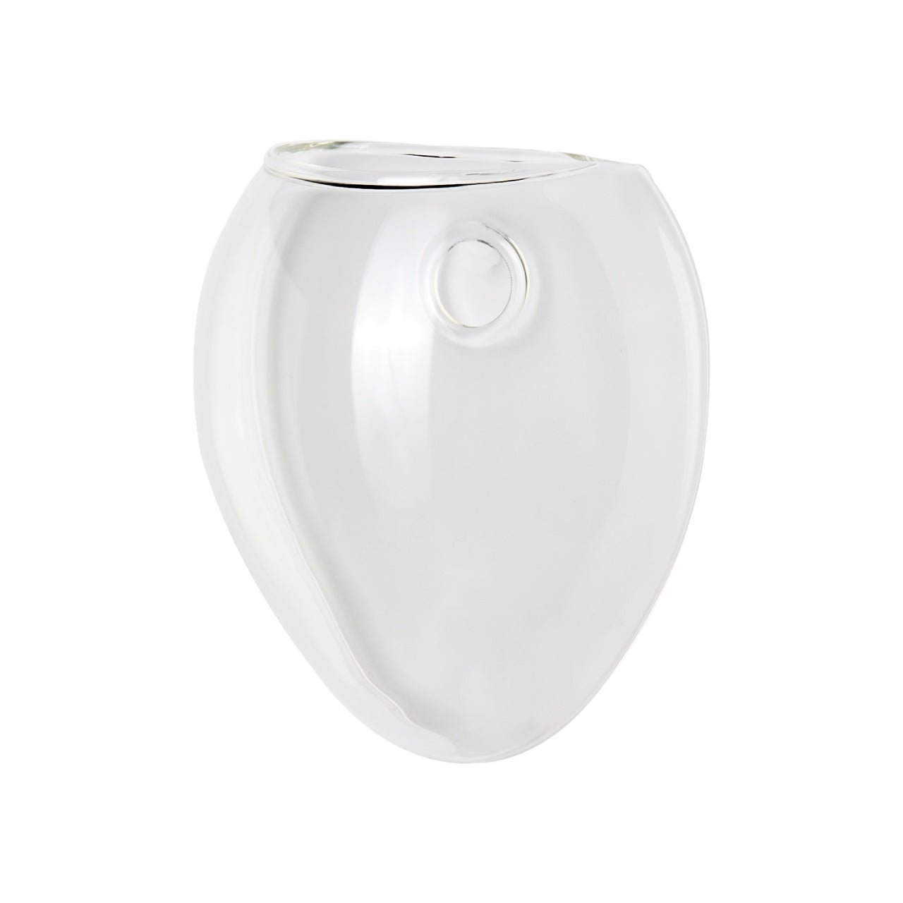 Aqua: Vaso da Parete Idroponica con Talea o Fiori Secchi