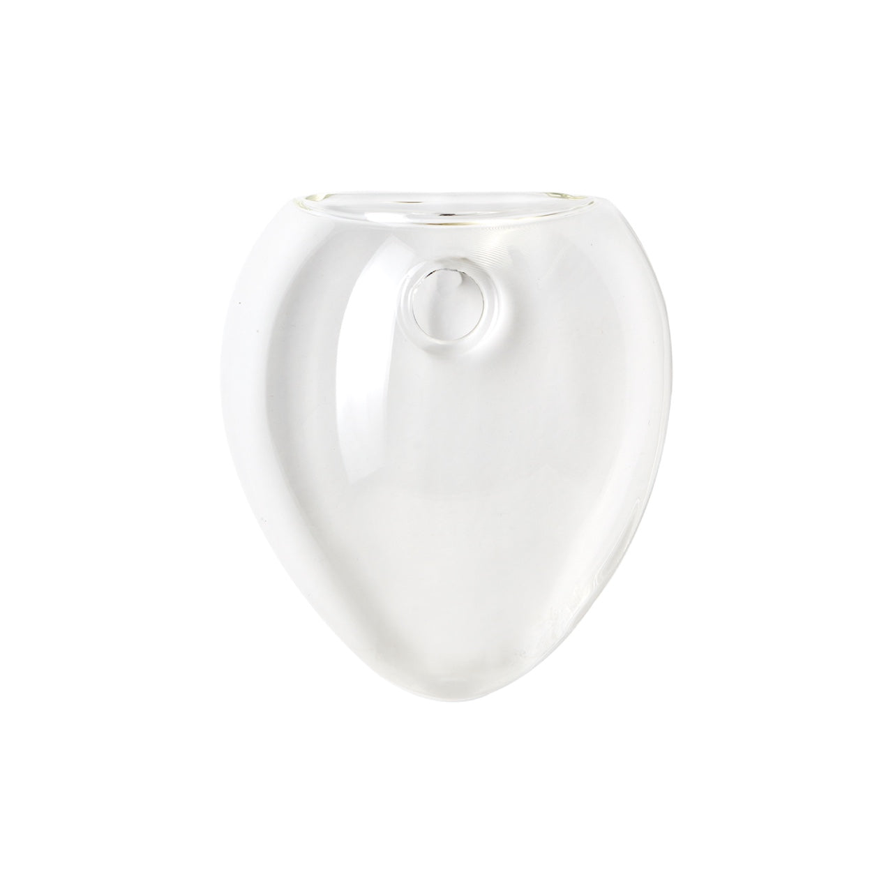 Aqua: Vaso da Parete Idroponica con Talea o Fiori Secchi