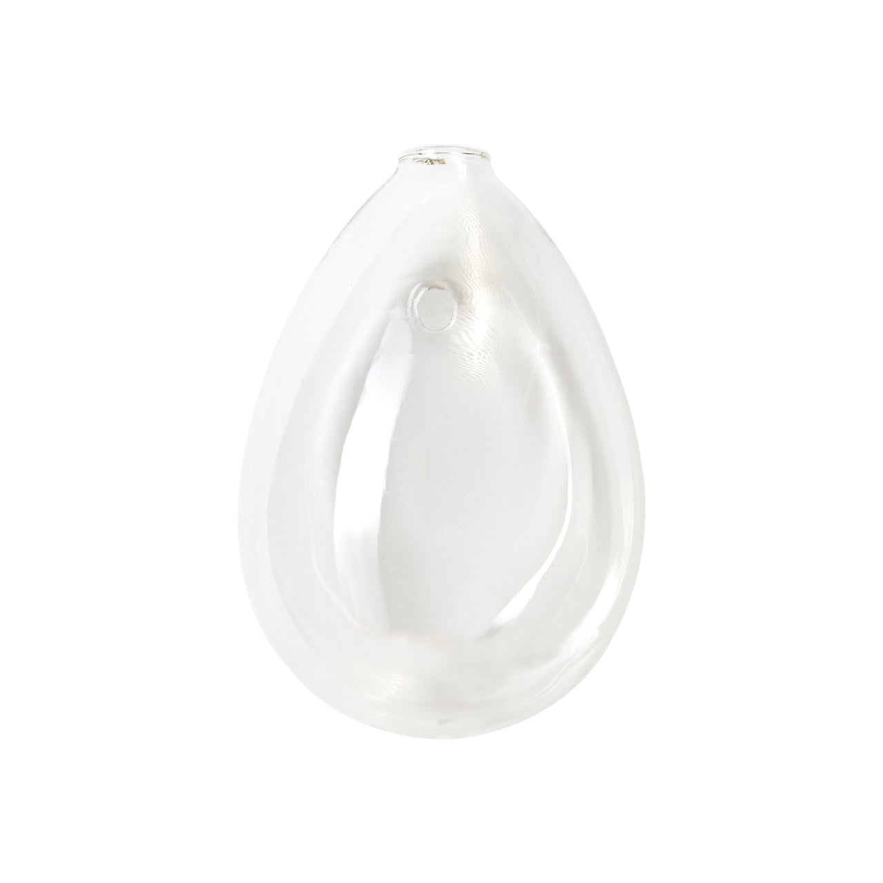 Aqua: Vaso da Parete Idroponica con Talea o Fiori Secchi