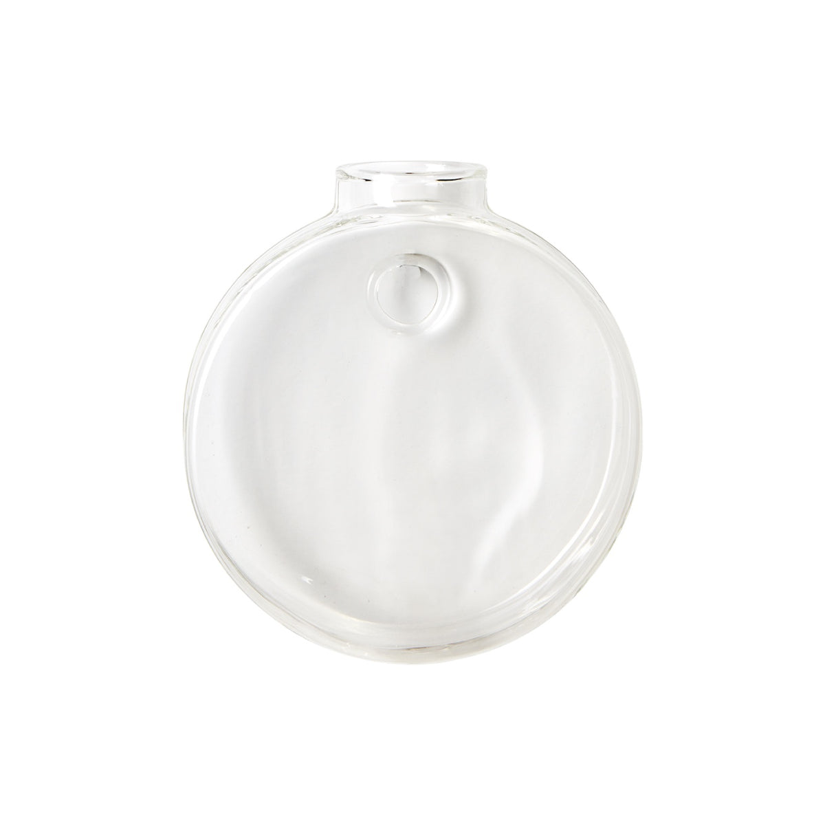 Aqua: Vaso da Parete Idroponica con Talea o Fiori Secchi