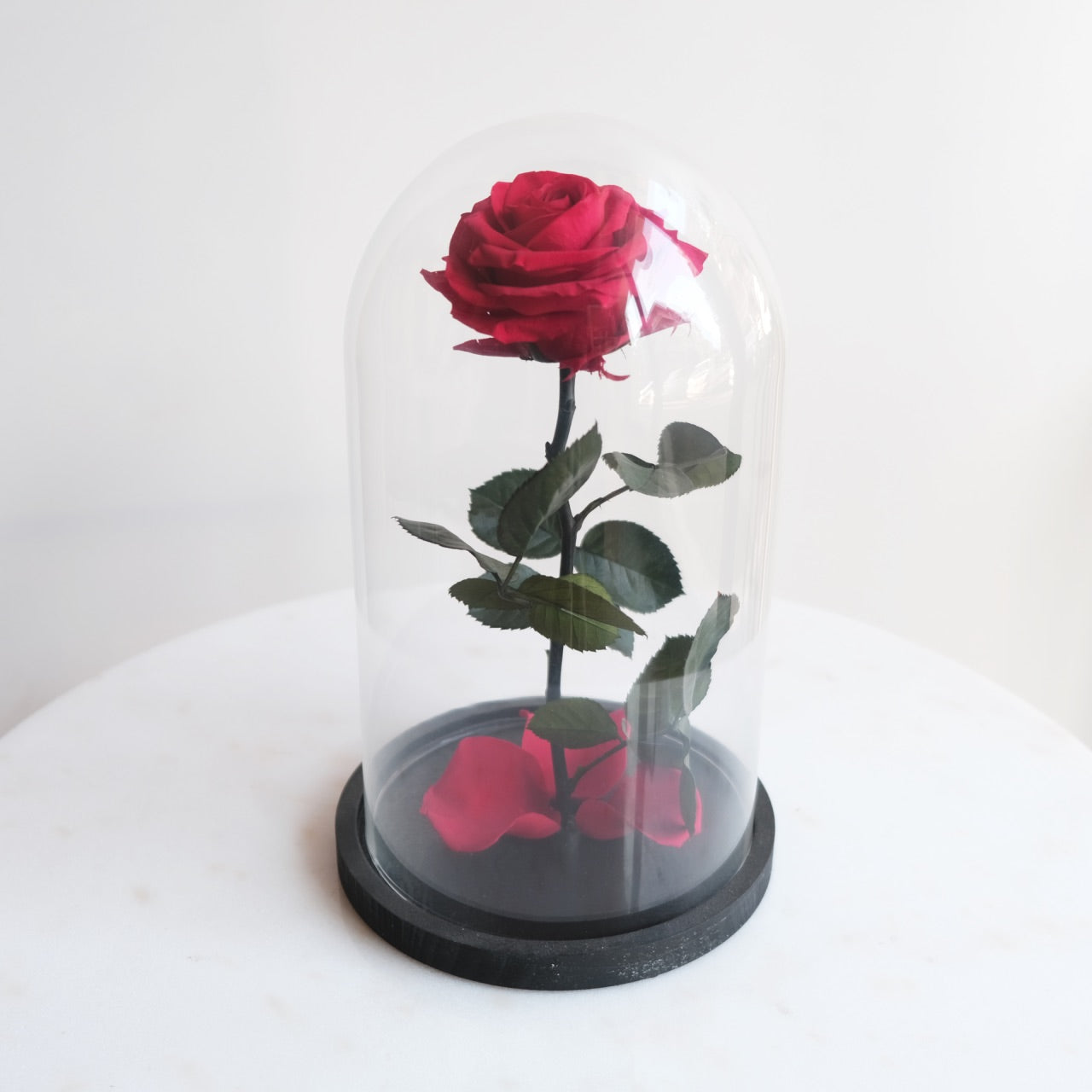 Fabula: Rosa Stabilizzata con Gambo in Campana di Vetro