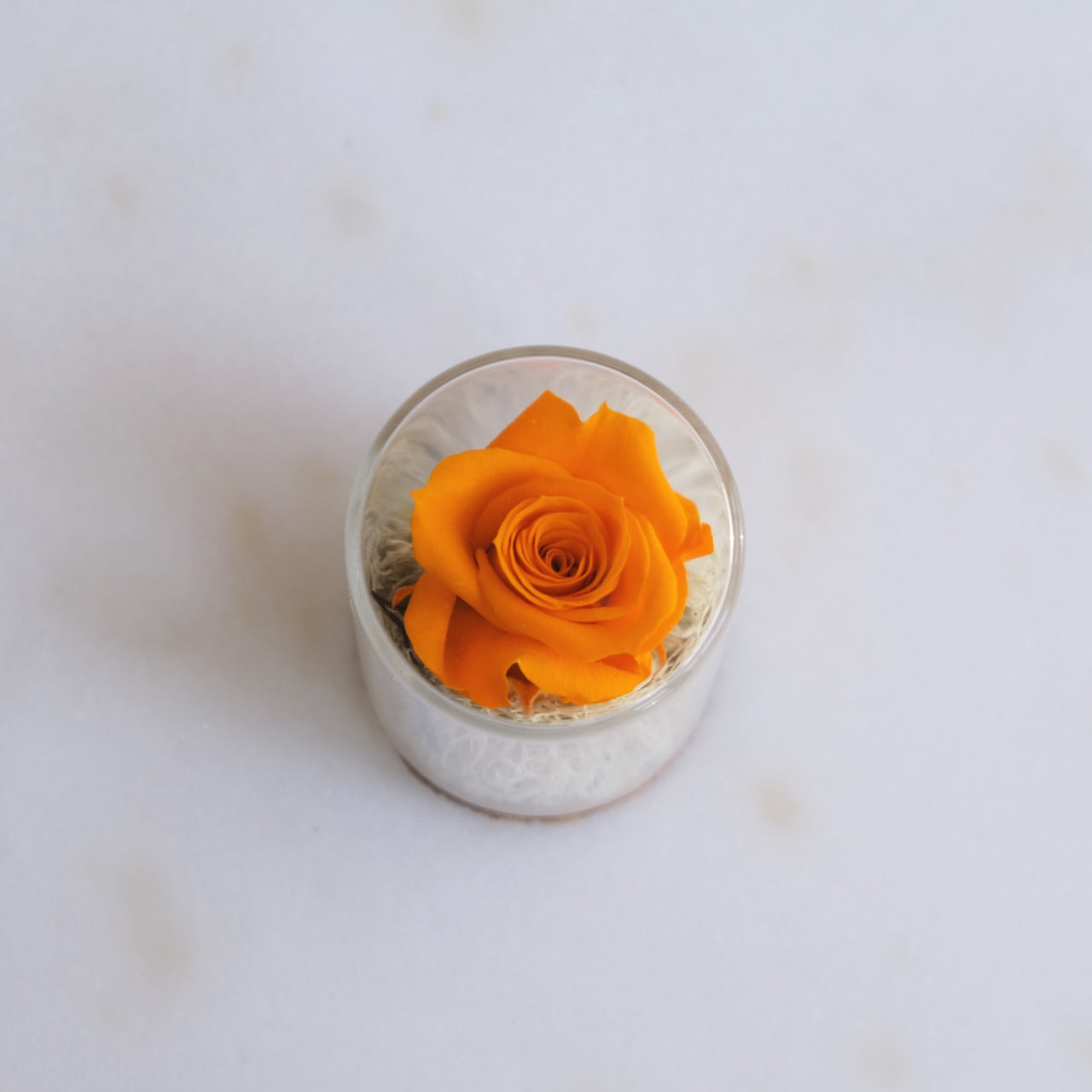 Fabula: Rosa Stabilizzata in Ampolla di Vetro e Sughero