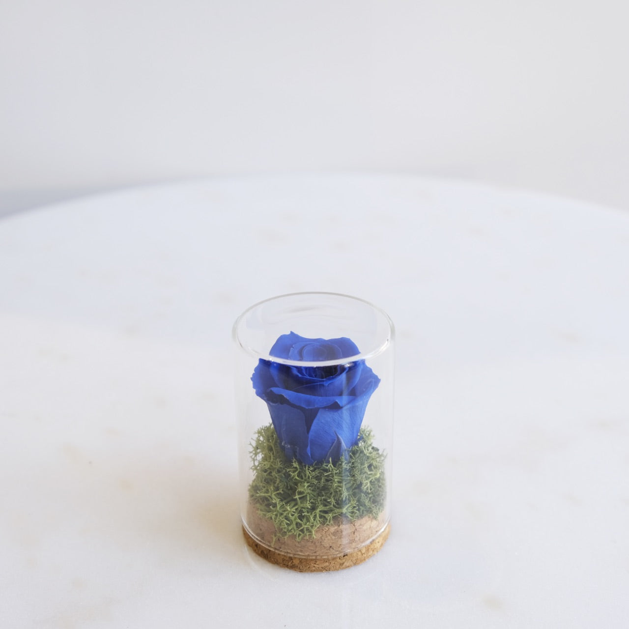 Fabula: Rosa Stabilizzata in Ampolla di Vetro e Sughero