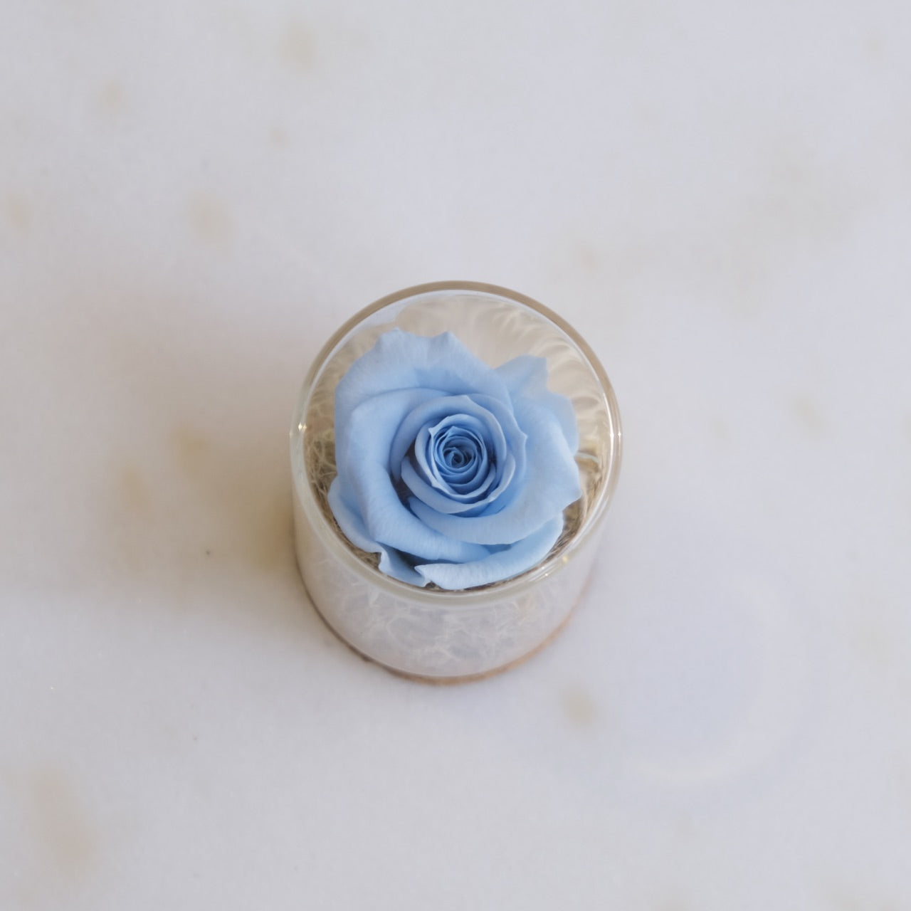 Fabula: Rosa Stabilizzata in Ampolla di Vetro e Sughero