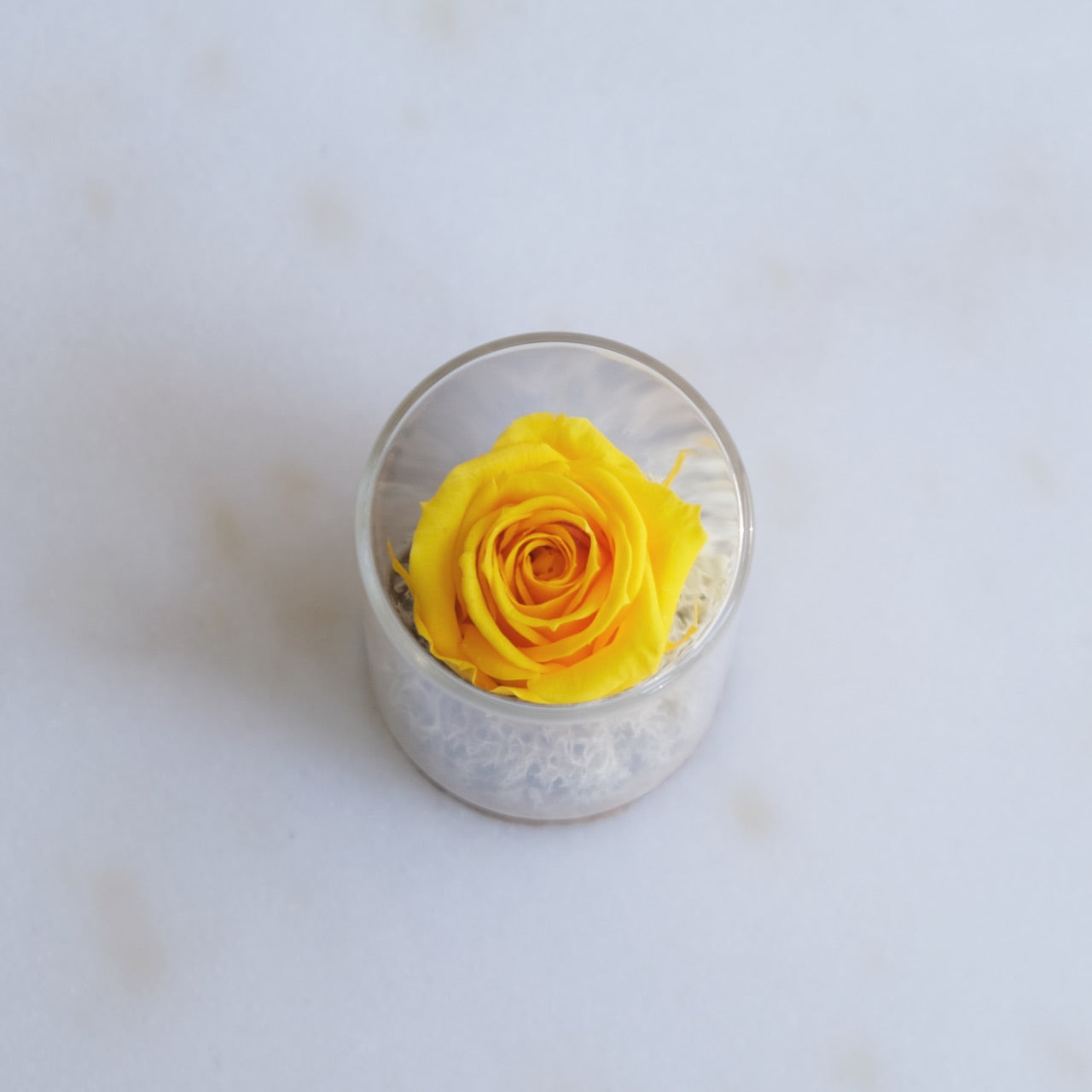 Fabula: Rosa Stabilizzata in Ampolla di Vetro e Sughero