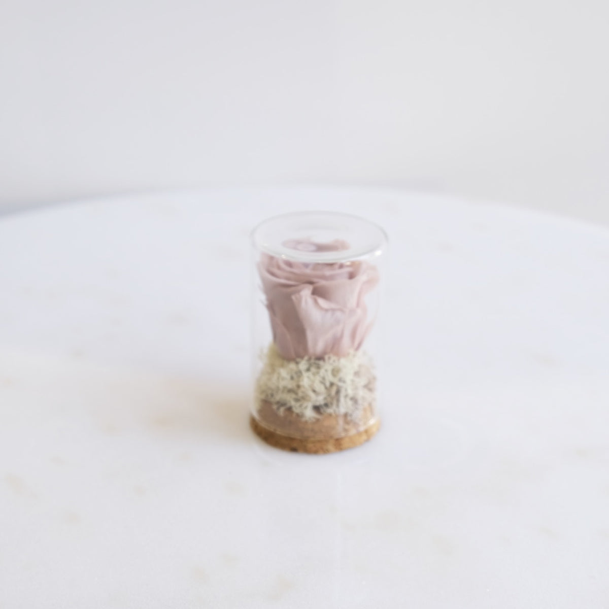 Fabula: Rosa Stabilizzata in Ampolla di Vetro e Sughero