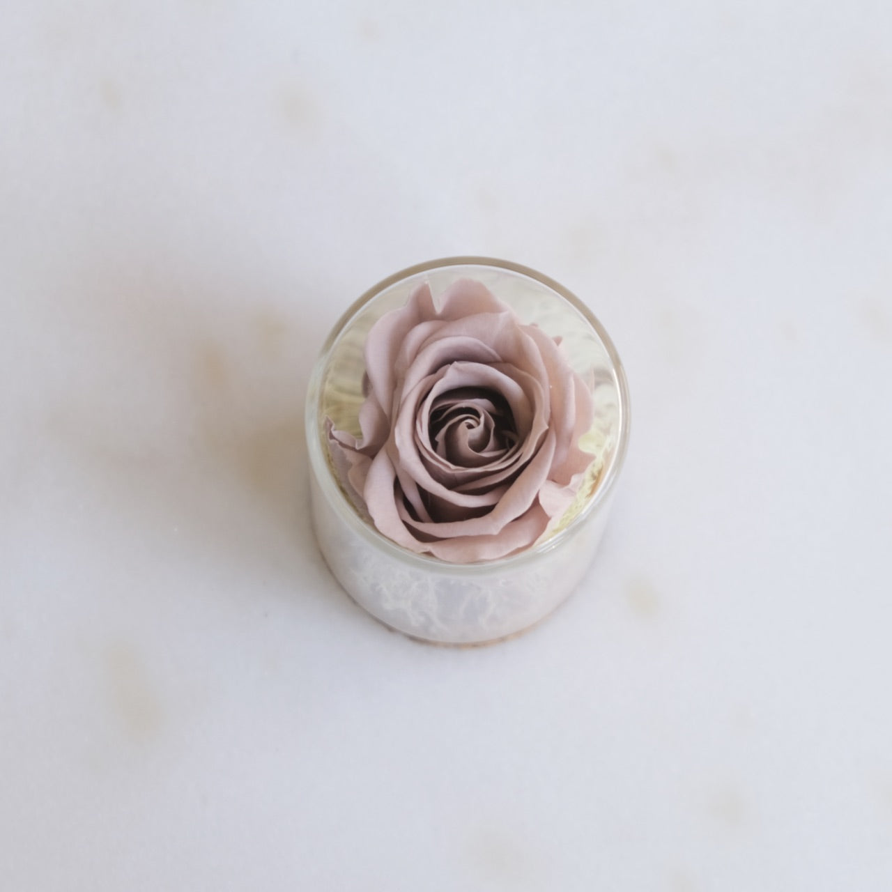 Fabula: Rosa Stabilizzata in Ampolla di Vetro e Sughero