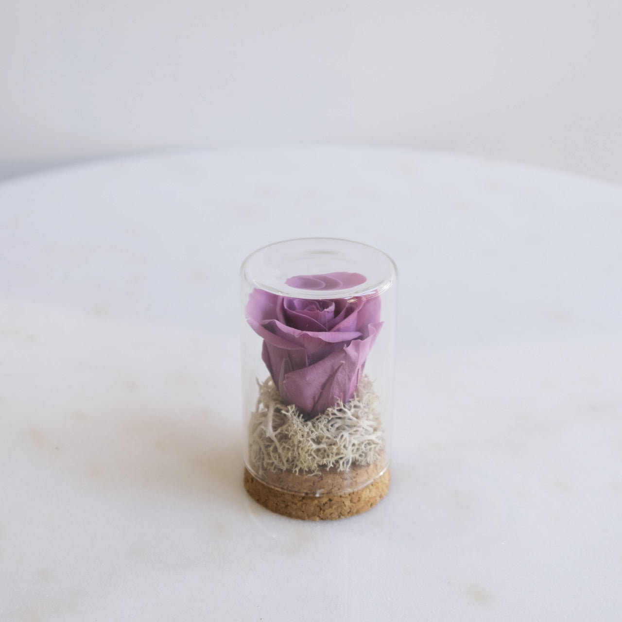 Fabula: Rosa Stabilizzata in Ampolla di Vetro e Sughero