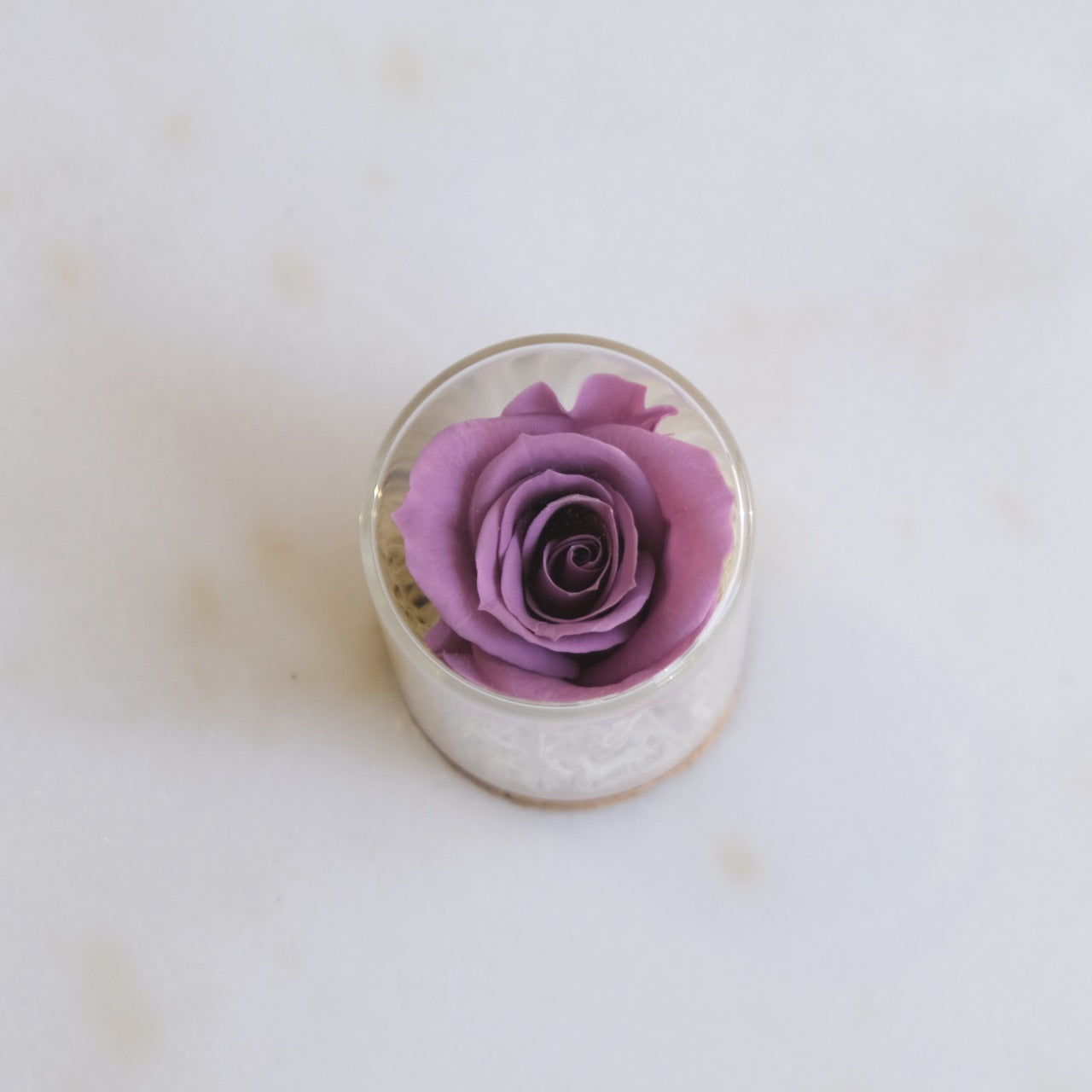 Fabula: Rosa Stabilizzata in Ampolla di Vetro e Sughero