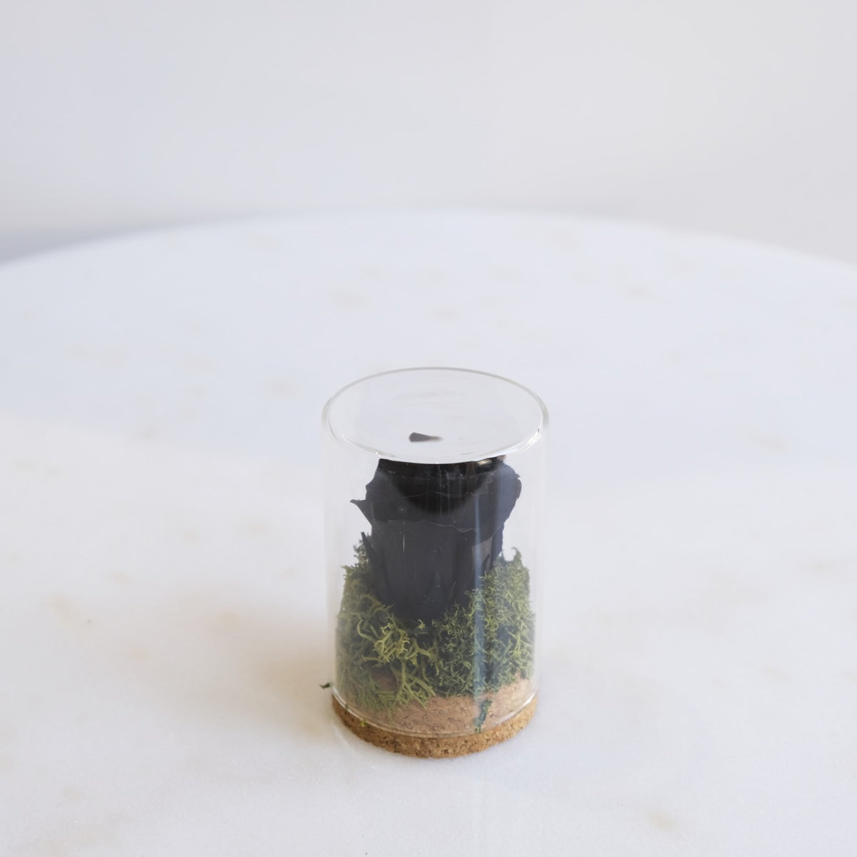 Fabula: Rosa Stabilizzata in Ampolla di Vetro e Sughero