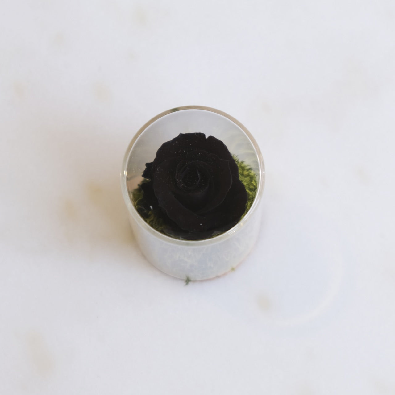 Fabula: Rosa Stabilizzata in Ampolla di Vetro e Sughero