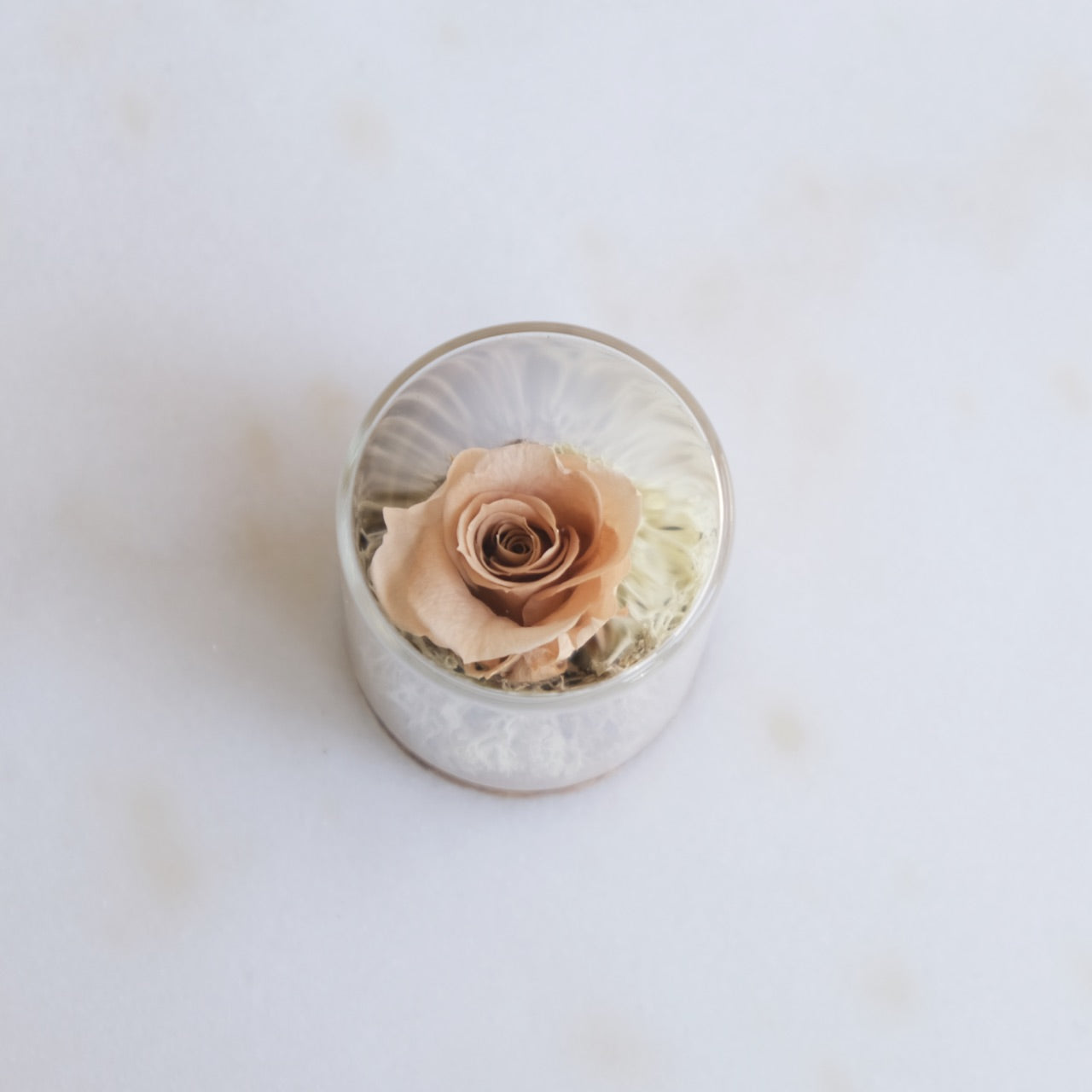 Fabula: Rosa Stabilizzata in Ampolla di Vetro e Sughero