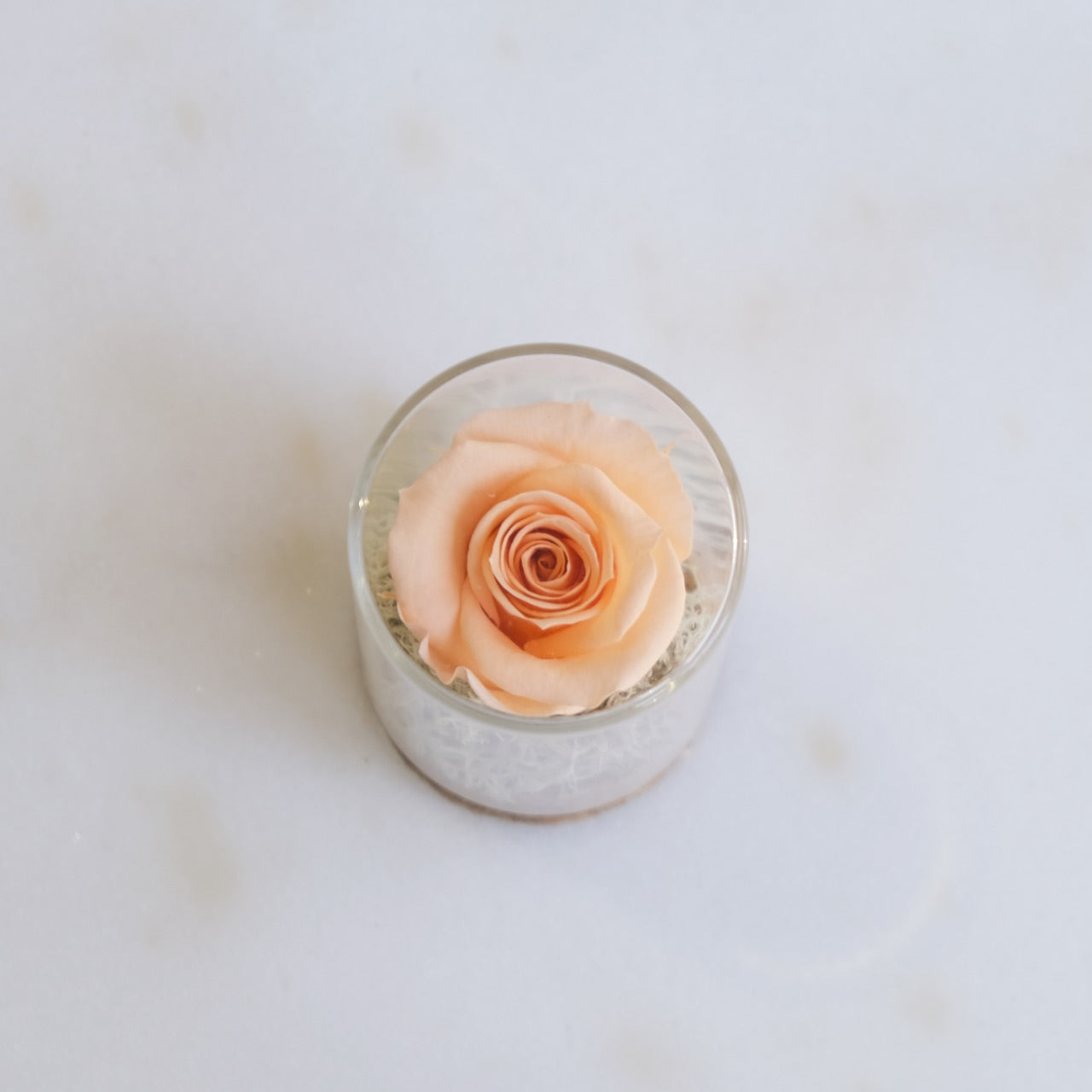 Fabula: Rosa Stabilizzata in Ampolla di Vetro e Sughero