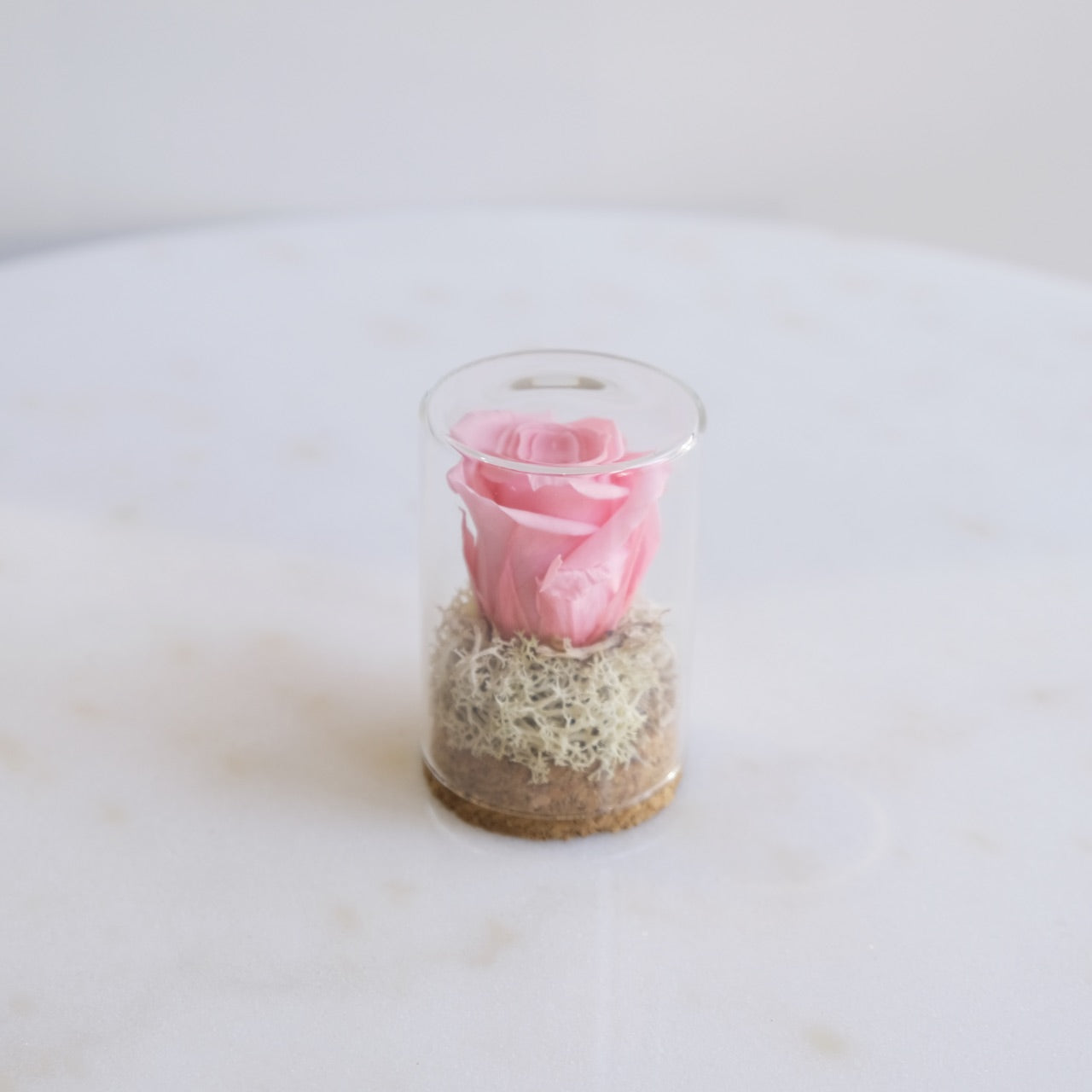 Fabula: Rosa Stabilizzata in Ampolla di Vetro e Sughero