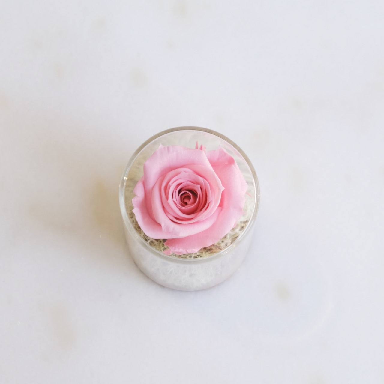 Fabula: Rosa Stabilizzata in Ampolla di Vetro e Sughero