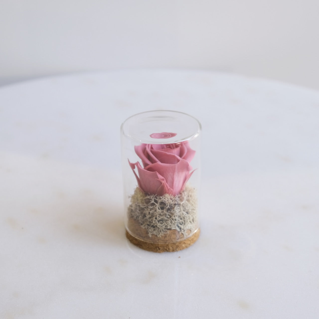 Fabula: Rosa Stabilizzata in Ampolla di Vetro e Sughero