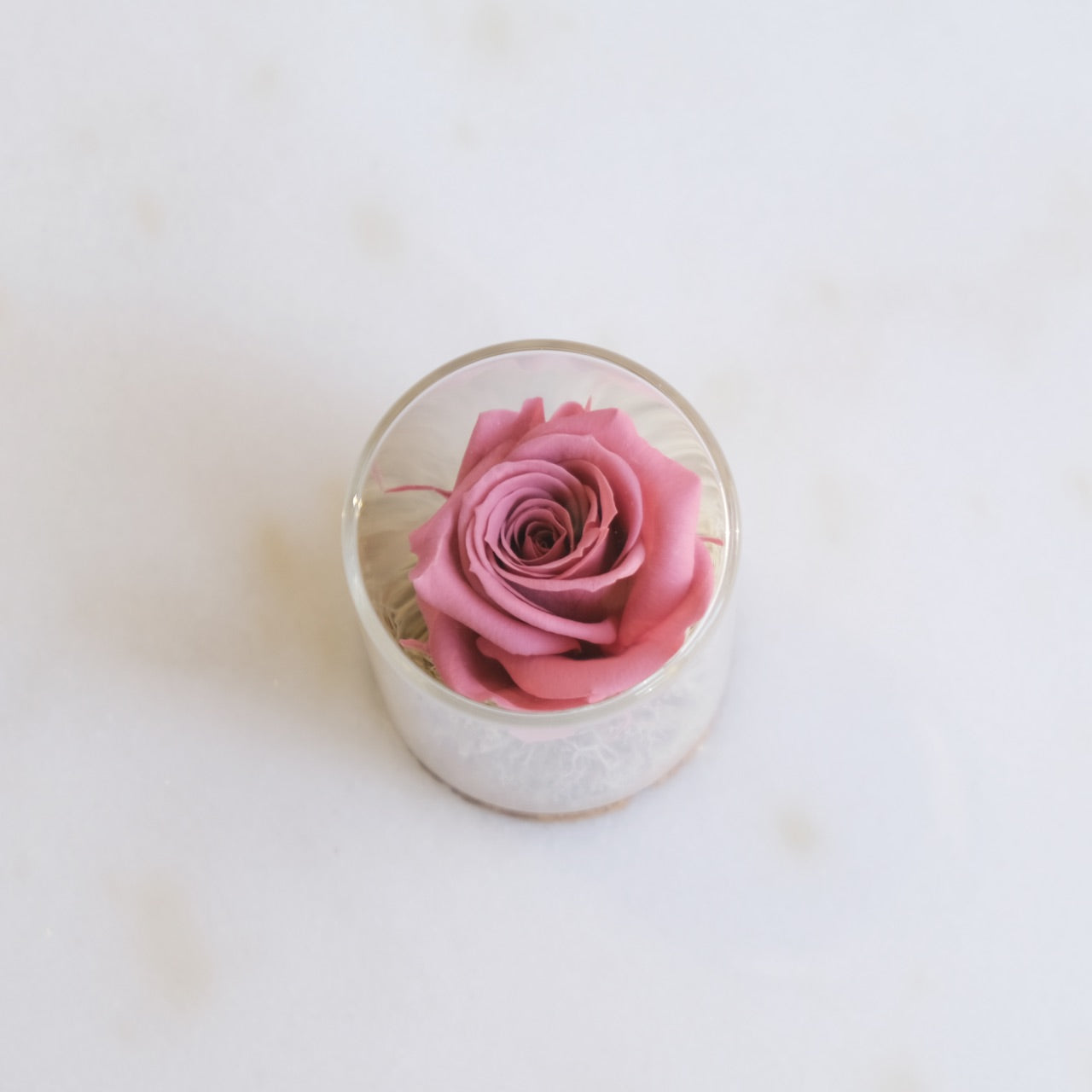 Fabula: Rosa Stabilizzata in Ampolla di Vetro e Sughero